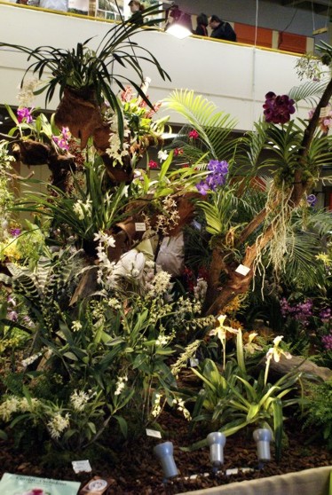 Ausstellungsstand Orchideenschau in Nrnberg