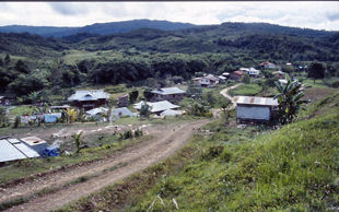 Bot. Exkursion in Sabah (Nord-Borneo) Teil 1: von 0 - 1200 m Höhe. Diavortrag von <b>Herrn Thilo NORDHAUSEN (Röttenbach)