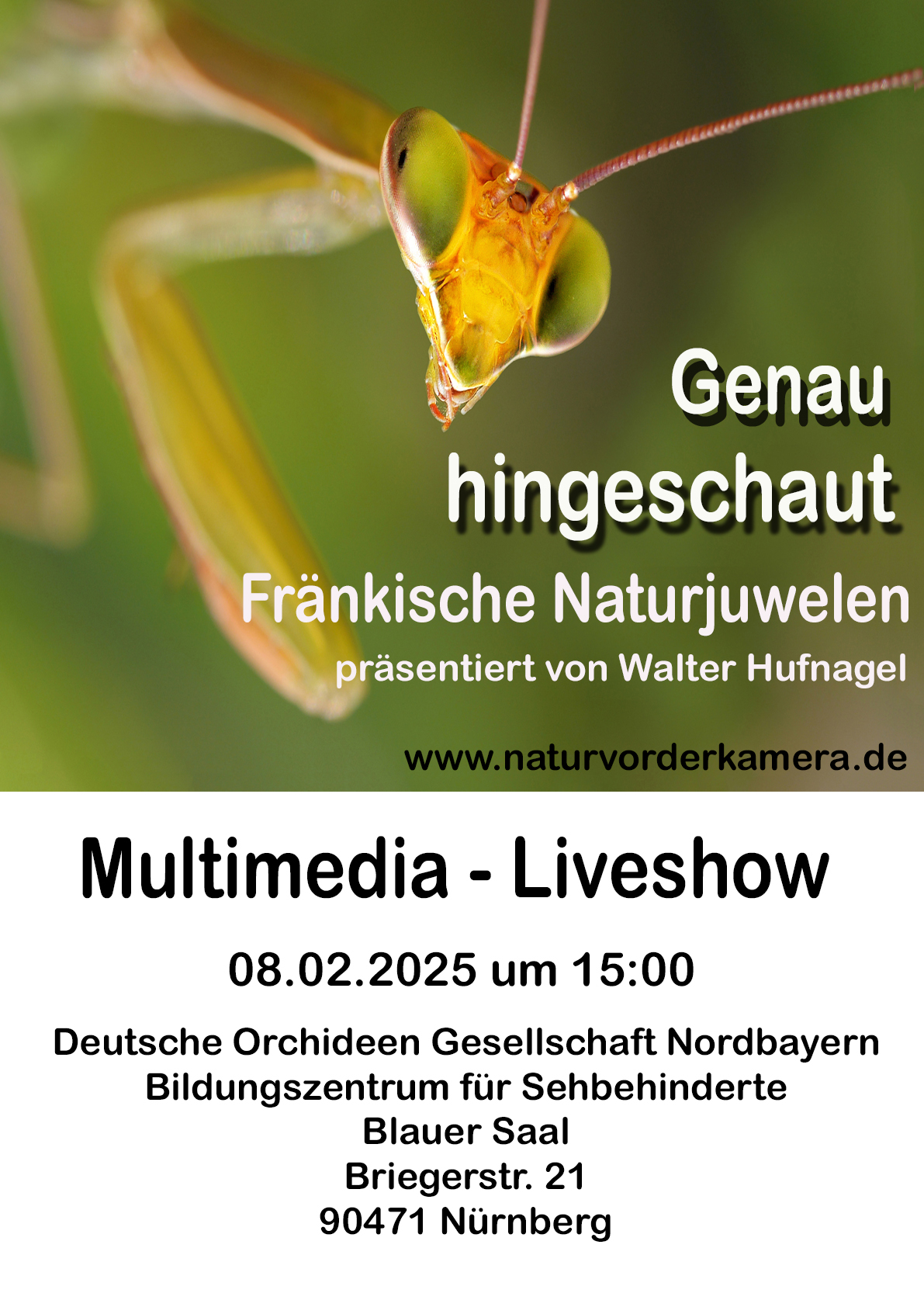 plakat-vortrag-februar-2025