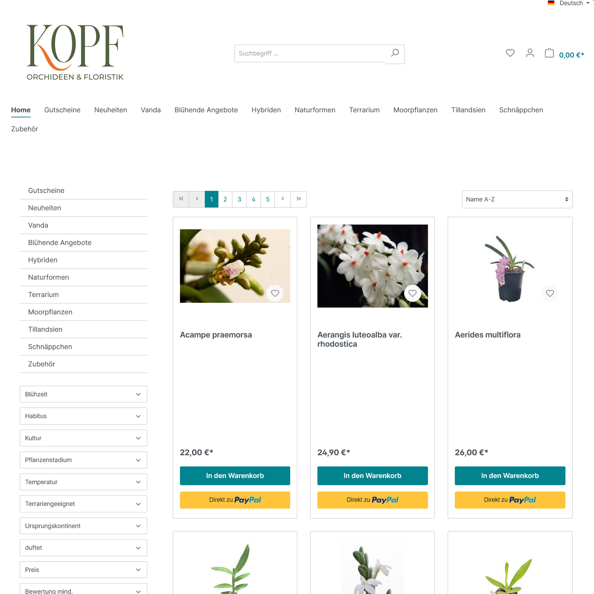 Kopf Orchideen und Floristik