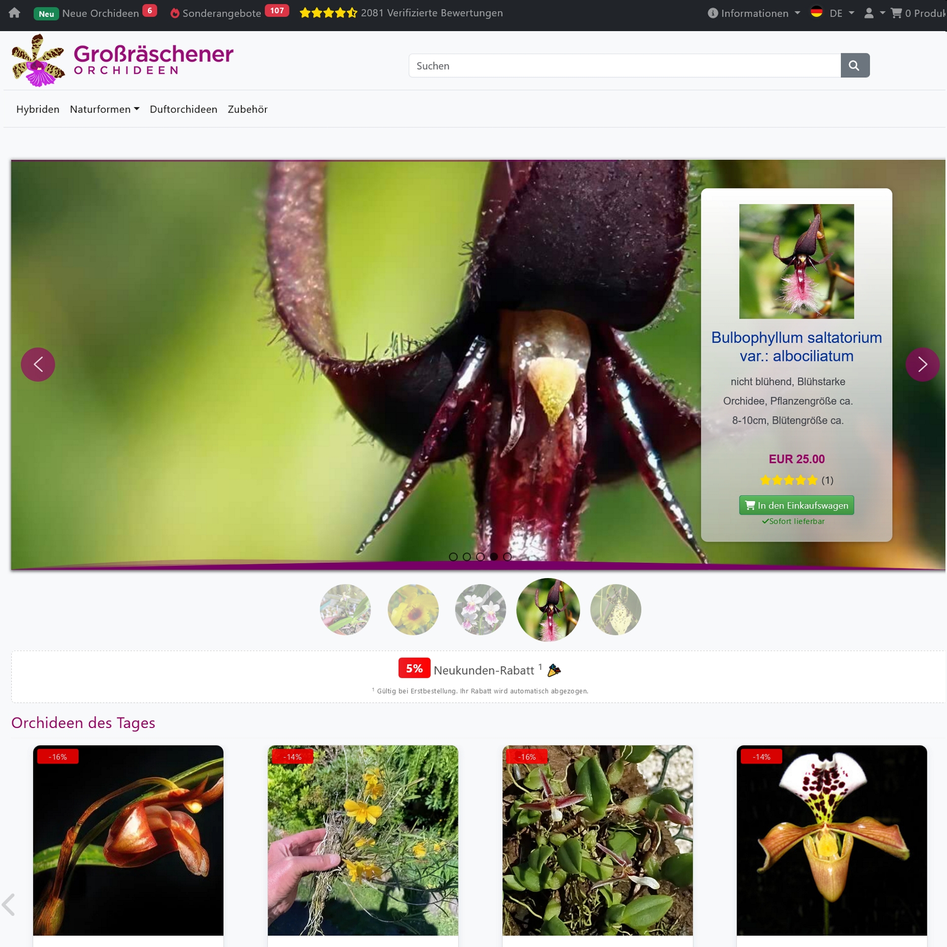 Großräschener Orchideen