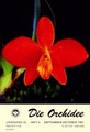 Die Orchidee 42(5) 1991