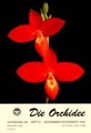 Die Orchidee 46(6) 1995
