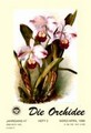 Die Orchidee 47(2) 1996