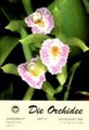 Die Orchidee 47(4) 1996