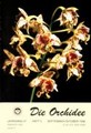 Die Orchidee 47(5) 1996