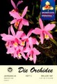 Die Orchidee 48(3) 1997