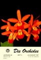 Die Orchidee 48(4) 1997