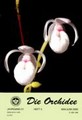 Die Orchidee 51(3) 2000