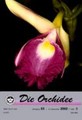 Die Orchidee 53(5) 2002