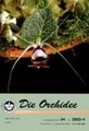 Die Orchidee 54(4) 2003