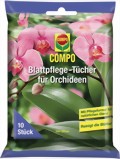 Compo Orchideen Tcher